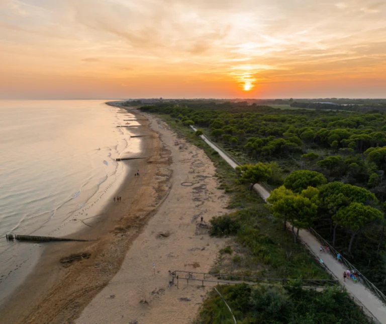 Tramonto sulla pineta di Bibione