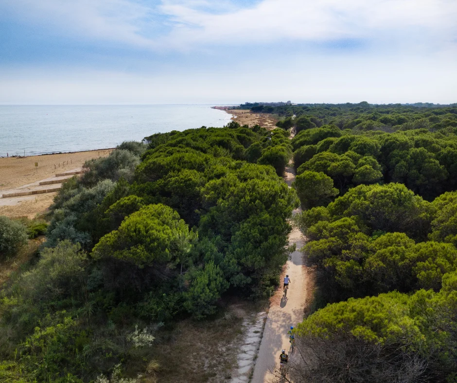 Pista ciclabile Bibione