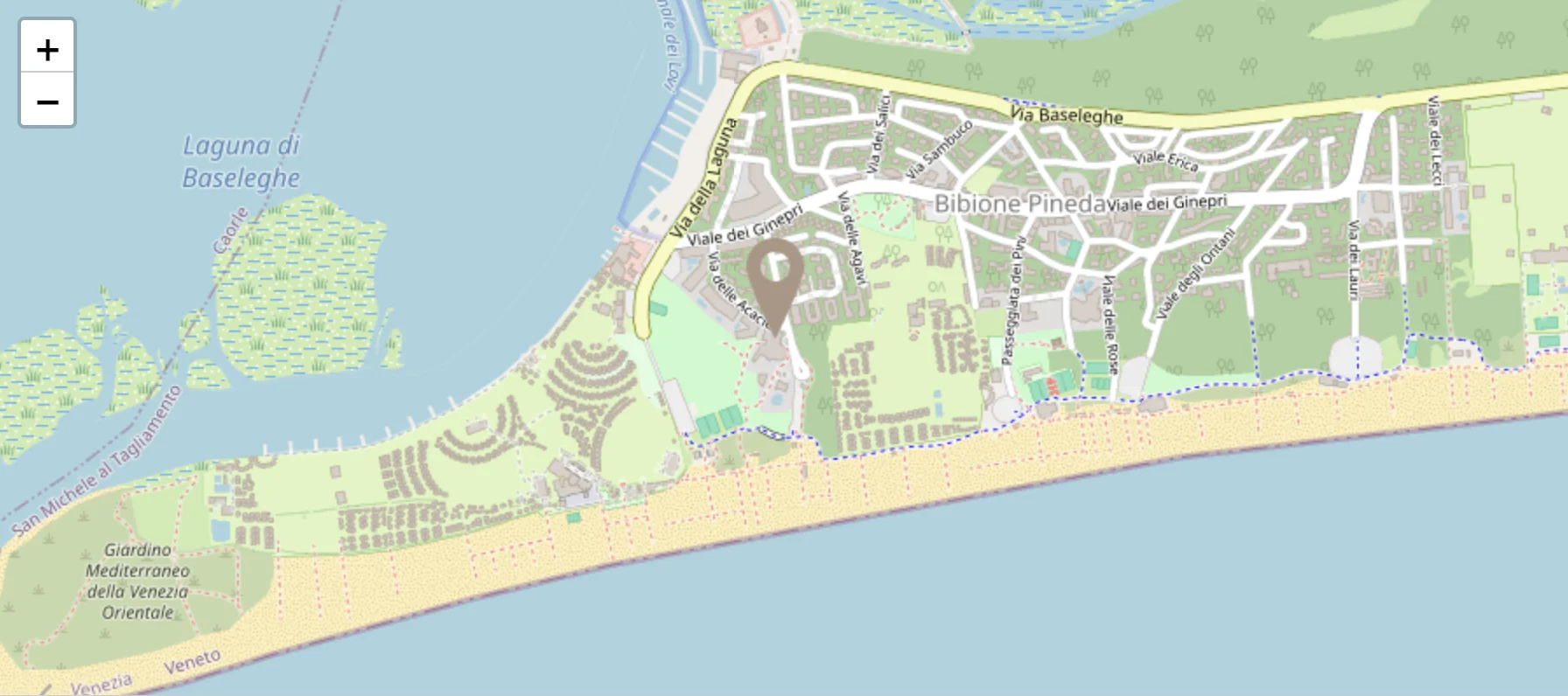 Piantina di Google Maps